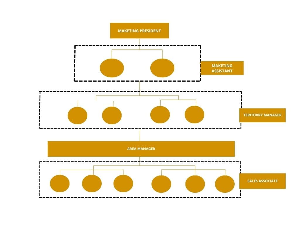 Marketing & Operations Structure